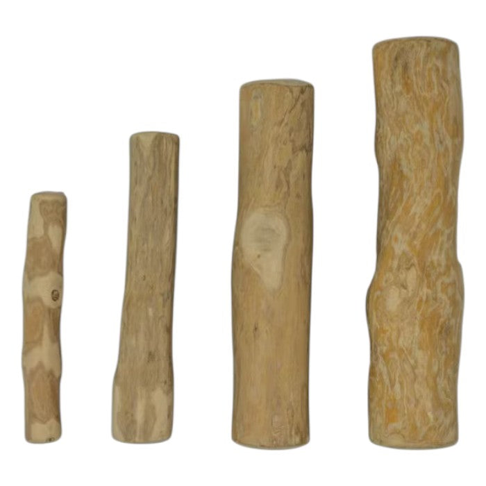 Bâtonnets à mâcher en bois de café naturel et durable, disponibles dans les tailles S à L